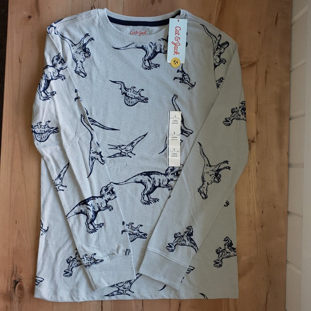 Kids Gray Dinosaur Long Sleeve T-Shirt